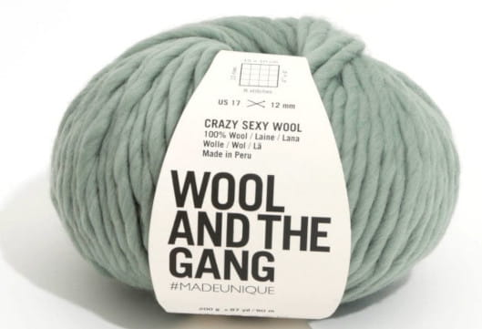 wloczka-Wool and the Gang-Crazy-Sexy-Wool-kolor-eucalyptus-green