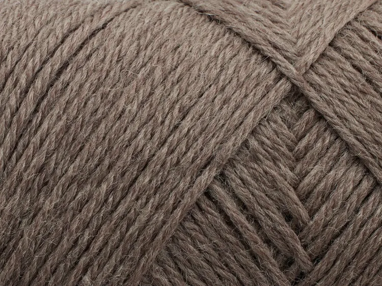 włóczka Arwetta Filcolana, Light Truffle 354