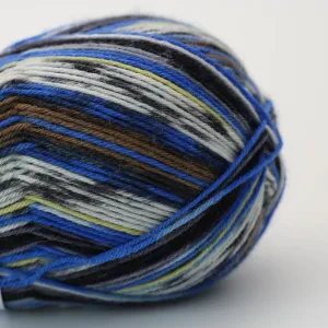 Socks & More 4ply, Arne & Carlos, 2460 Bamble Color, 420m