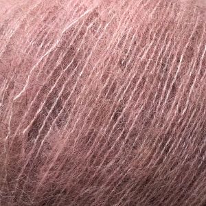 CaMaRose Midnatssol, 9526 stara róża